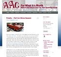Auto Appraisal Group, Inc.